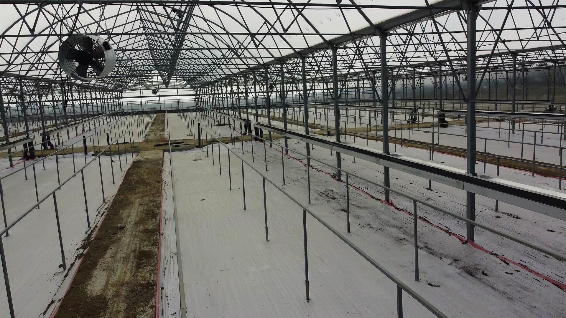 The gothic-arch roof structure and circulation fans above the growing bays at Tibbi Silivri.