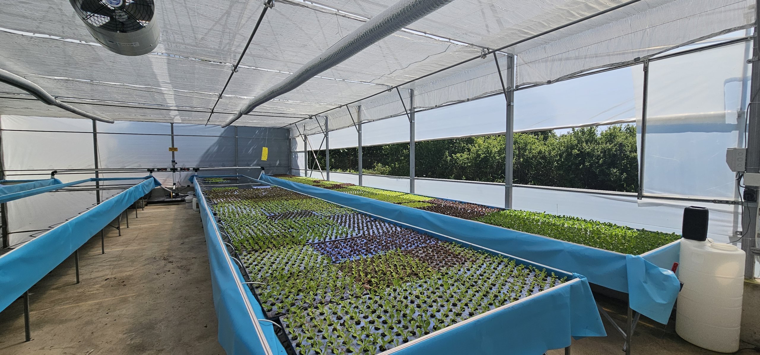 Propagation benches
