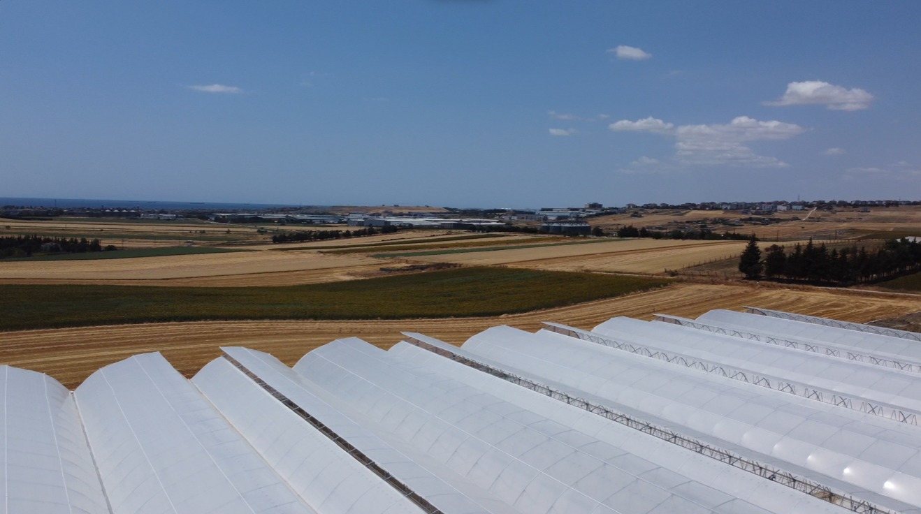 Aerial view of the multi-span roof