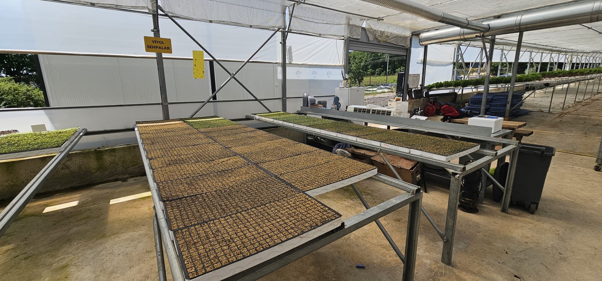 The nursery in production