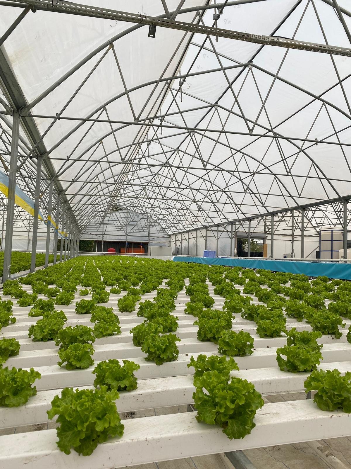 The production floor