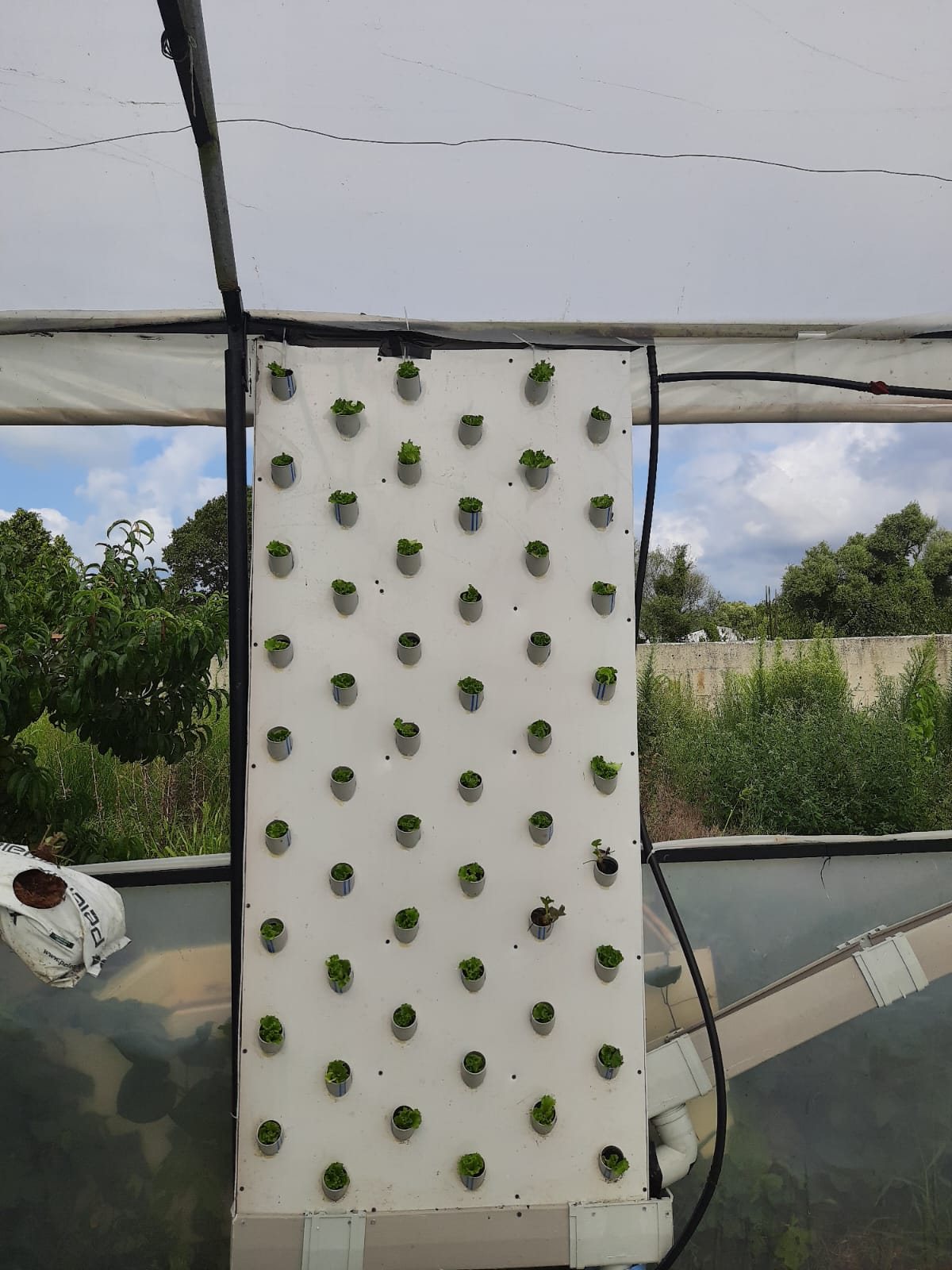 Planted wall panel in operation
