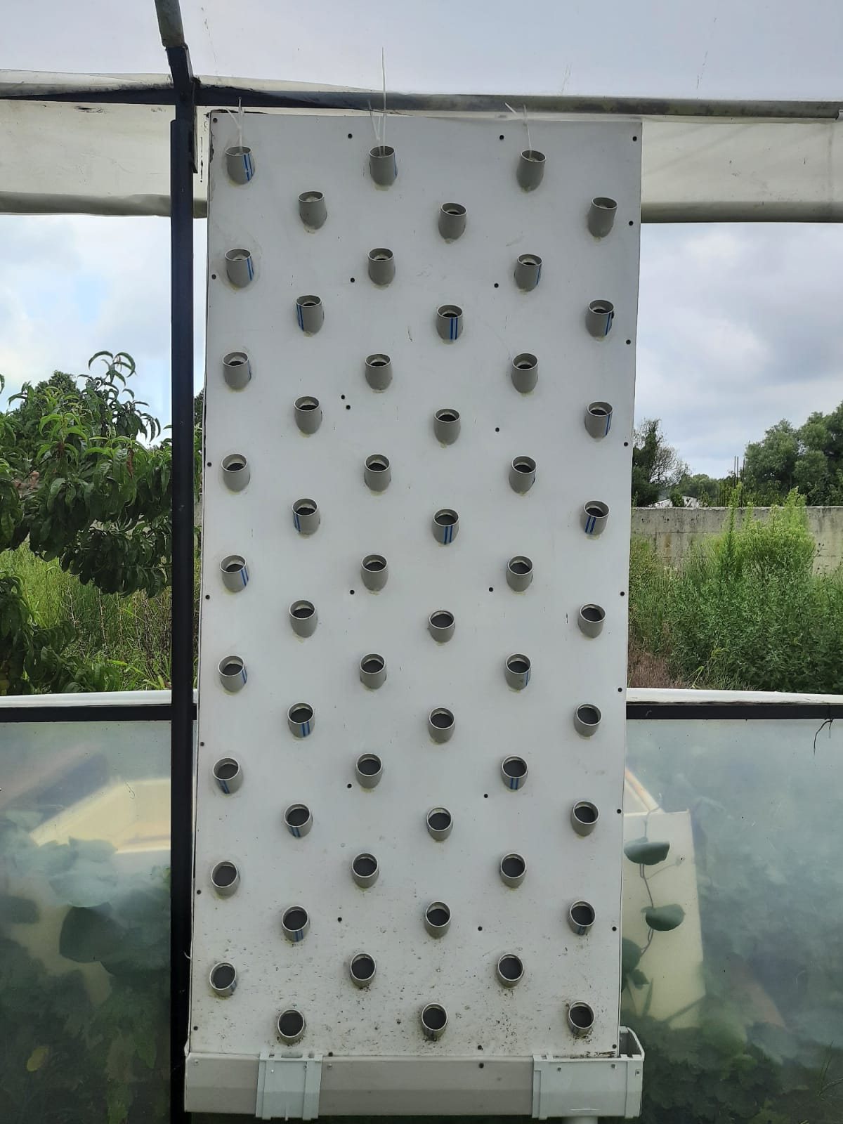 Wall system panel above a recirculating tank
