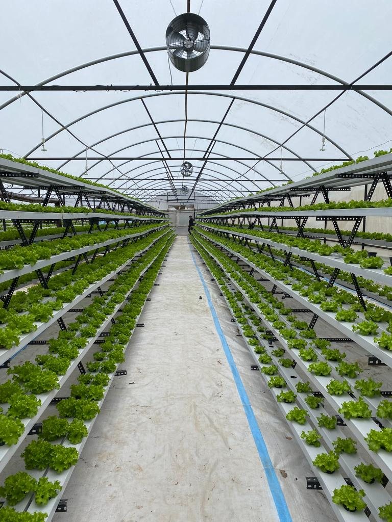 Full-length growing rows
